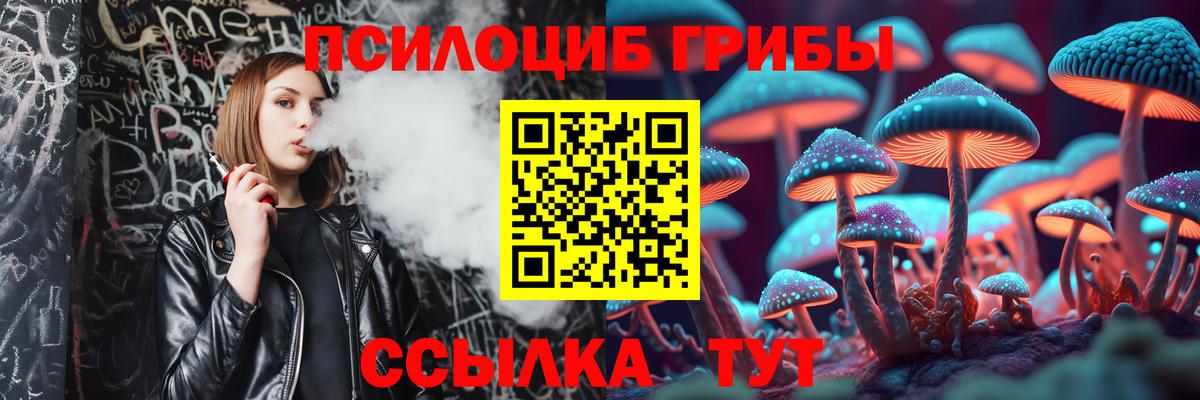 Псилоцибиновые грибы GOLDEN TEACHER  Галлюциногенные грибы Cubensis  Маркс  Вход с VPN 