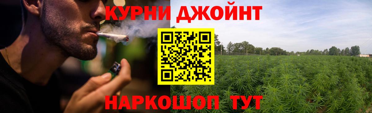 Канабис гибрид  Канабис планчик  Вход с VPN  Канабис планчик  Маркс 